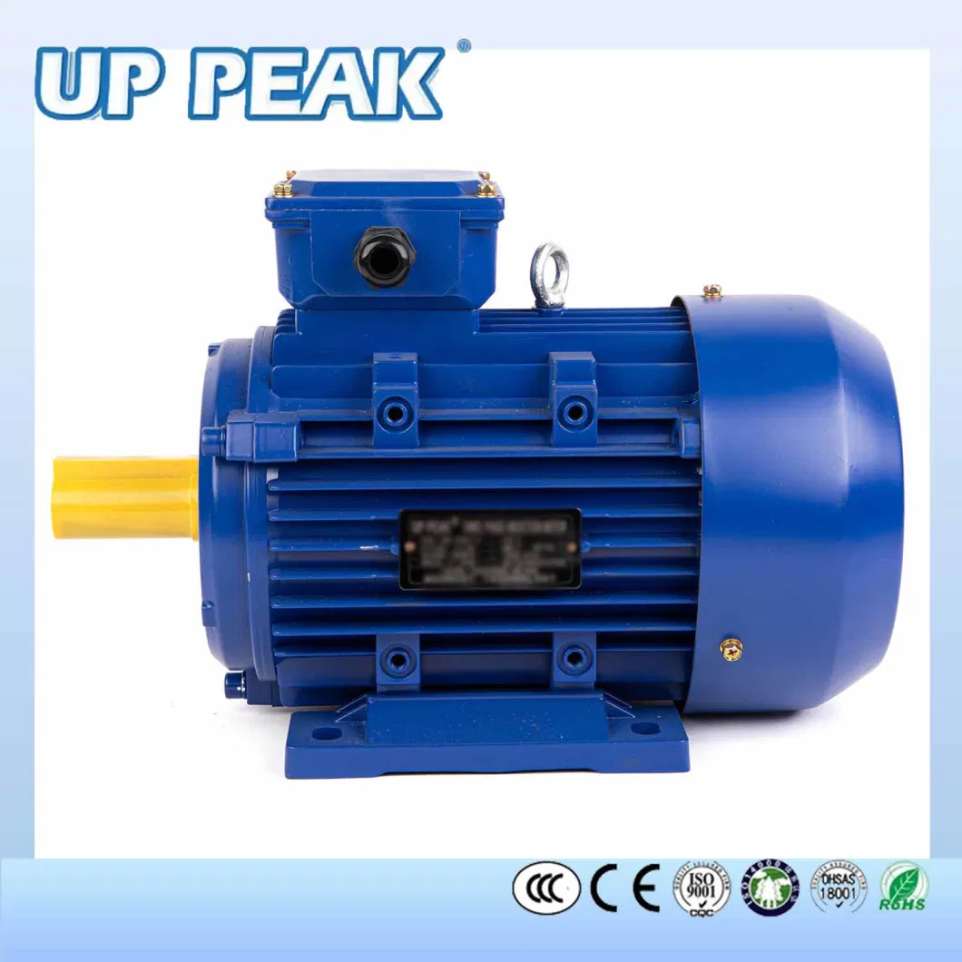 Three Phase Electric Motor CCC CE for Pump Fans, OEM High Efficiency Motor